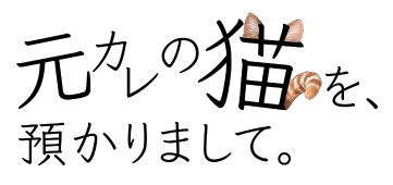 ホンノウスイッチ